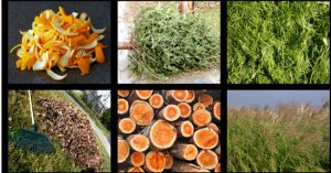 Việt Nam nhập công nghệ biến rơm thành xăng máy bay