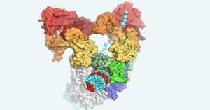 Hình ảnh chưa từng thấy về virus SARS-CoV-2