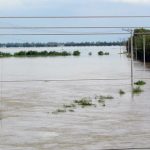 Đảo Phú Quốc ngập nặng, lũ miền Tây dâng cao