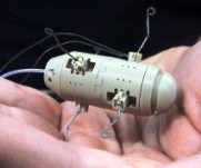 Robot giám sát ô nhiễm môi trường