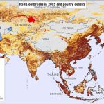 FAO: H5N1 có thể gây ra hiệu ứng domino