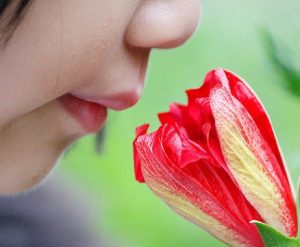 Sắp chữa trị được chứng mất khứu giác bẩm sinh?