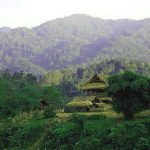 Thú quý hiếm ở dãy Trường Sơn kêu cứu