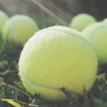 Vì sao nên mang theo quả bóng tennis khi đi máy bay?