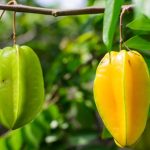 Những loại quả người lớn tuổi nên hạn chế ăn