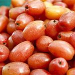 Những điều cần tránh khi ăn quả nhót bạn nên biết