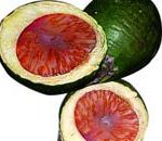 Cau – thuốc chữa bệnh trẻ em