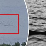 Có nhiều hơn một con quái vật dưới hồ Loch ness?