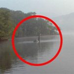 Quái vật hồ Loch Ness bất ngờ xuất hiện tại Anh?