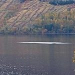 Bức ảnh cho thấy quái vật vui đùa dưới hồ Loch Ness?