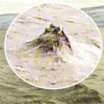 Hình ảnh giống đầu quái vật hồ Loch Ness