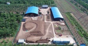 Giật mình với hài cốt khổng lồ trong lăng mộ Trung Quốc 2.100 năm