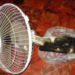 Sự kiện “gây cháy” bí ẩn, bắt đầu từ đâu?