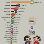 Những quốc gia xuất khẩu gạo nhiều nhất thế giới niên vụ 2023-2024