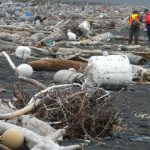 Rác sóng thần Nhật đổ bộ lên Alaska
