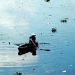 Những con số đáng sợ về môi trường