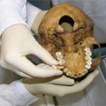 Thêm phát hiện mới từ xác ướp Ai Cập cổ đại