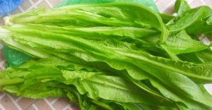 Loại rau giàu canxi hơn cả sữa, ăn sống hay chín đều tốt cả