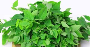Rau ngót – Loại rau giúp đàn ông tăng cường sinh lý