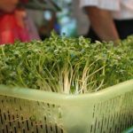 Hơn 500 gian hàng tham gia chợ thiết bị công nghệ