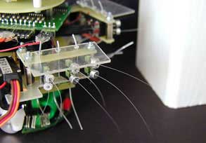 Chuột robot ngửi bằng râu
