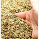 Chế tạo chất cách nhiệt từ trấu