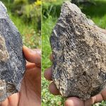 Bằng chứng về loài người khác thông minh, săn quái thú ở “vườn địa đàng”