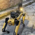 Thành phố cổ Italy “tuyển” robot chó để chống kẻ săn trộm