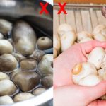 Ăn nấm có nên rửa không?