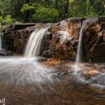 Khu quần thể rừng Dong Phaya Yen – Khao Yai