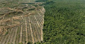 Kỷ nhân sinh Anthropocene và những vết sẹo con người rạch vào Đất Mẹ