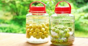 Top 10 công dụng tuyệt vời của rượu mơ ngâm có thể bạn chưa biết
