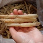 Cách phân biệt sá sùng Quảng Ninh và sá sùng Trung Quốc