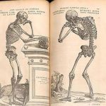 Andreas Vesalius – Ngự y say mê giải phẫu