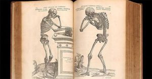 Andreas Vesalius – Ngự y say mê giải phẫu