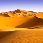 Thế giới hoang dã trên hoang mạc Sahara