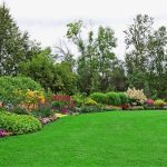 Trồng cây xanh ở nhà giúp giảm chứng thèm ăn vặt