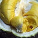 Ăn sầu riêng sau khi uống rượu: Cảnh báo ngộ độc