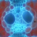Gene “bù nhìn” – chìa khóa để tăng năng suất mùa vụ