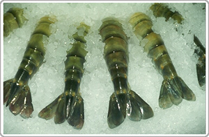 Thực phẩm phòng loãng xương