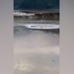 Sinh vật giống quái vật Loch Ness gây hoang mang ở Trung Quốc