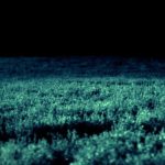 Skinwalker – Nơi kỳ lạ nhất Trái đất