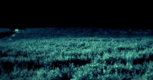 Skinwalker – Nơi kỳ lạ nhất Trái đất