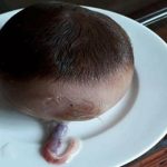 Dân mạng xôn xao bò đẻ ra “sọ dừa” ở Thanh Hóa