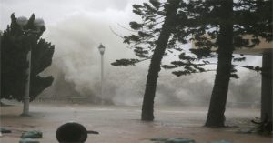 Viện phó lý giải siêu bão Mangkhut không vào Việt Nam