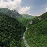 Nỗ lực cứu “trái tim xanh lam” của châu Âu