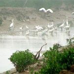 Thụy Điển giúp Việt Nam ứng phó biến đổi khí hậu
