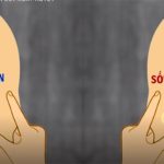 Một số dấu hiệu phân biệt sốt xuất huyết và sốt phát ban