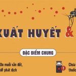 Bệnh do virus Zika và sốt xuất huyết khác nhau thế nào?