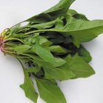 Cách bảo quản cải bó xôi để tăng giá trị dinh dưỡng